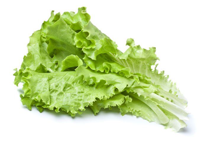 Leaves of Romaine Salad for use in caesar salad