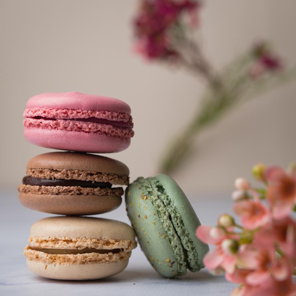 Marketing Photos Brochures [8724319] 240023_S1.jpg