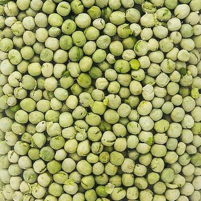 Marketing Photos Brochures [8866145] 241201_S1.jpg