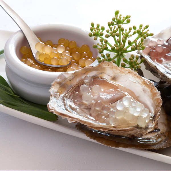 Marketing Photos Brochures [8889140] 163856_S2.jpg