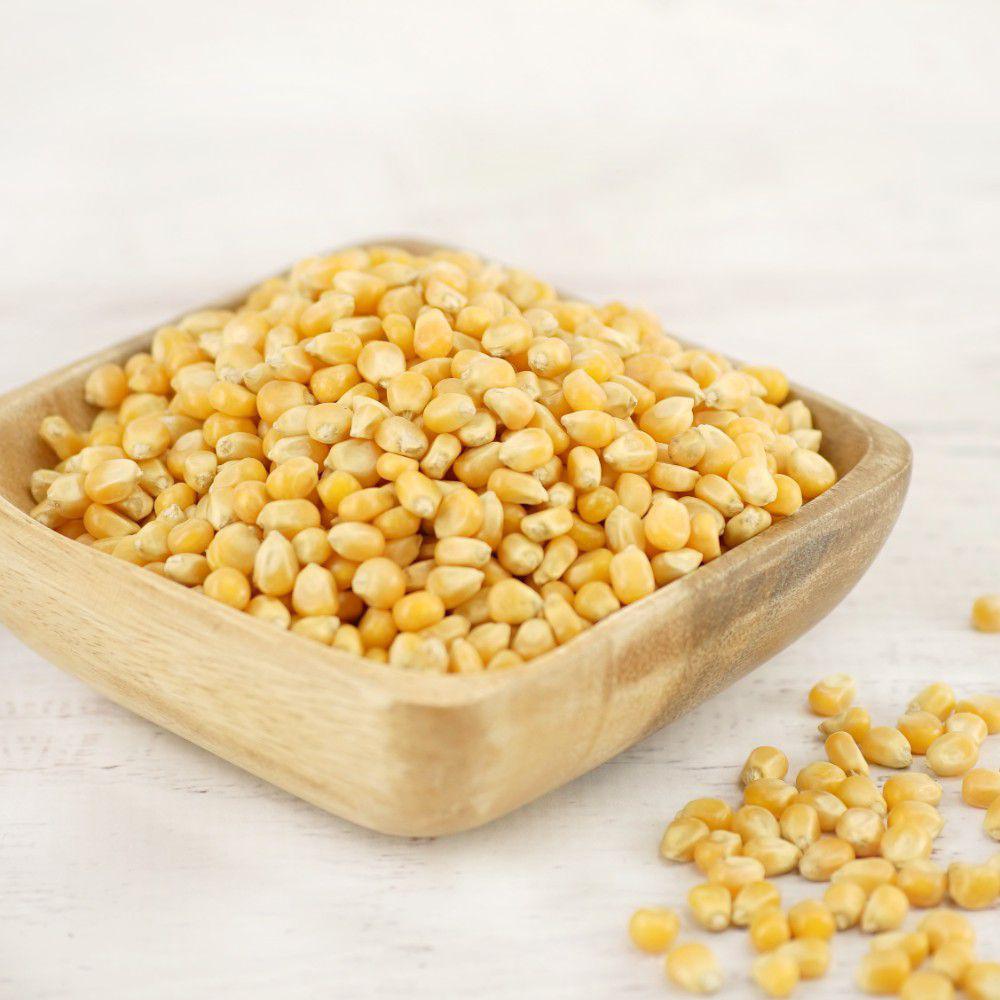 Grains de Popcorn (Champignons) 5 lbs Royal Command