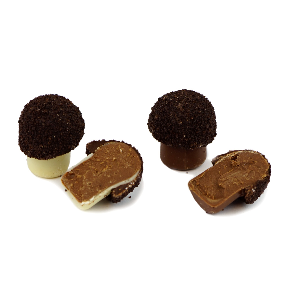 Assorted Chocolate Mushrooms - 100 g Choctura