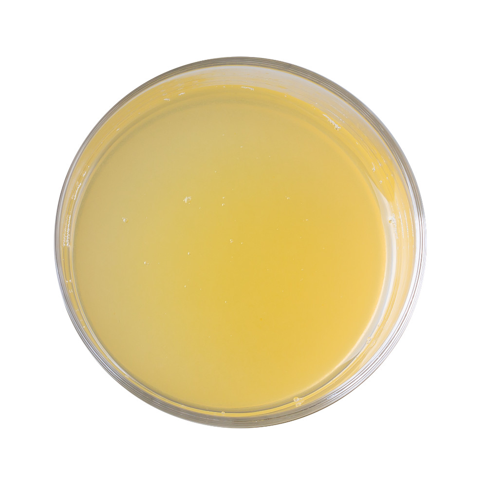Substitut végétalien de blanc d’œuf; 3.88 L Aquafaba