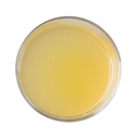 Substitut végétalien de blanc d’œuf; 3.88 L Aquafaba