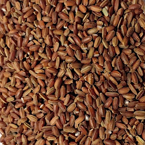 Red Rice 10 lbs Epigrain