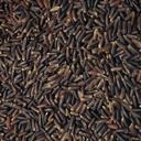 Black Rice 10 lbs Epigrain