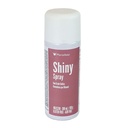 Spray Shiny 300 ml Martellato