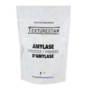 Poudre d'Amylase- 1 kg Texturestar