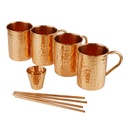 Moscow Mule Mug Set with Utensils 4pc Artigee