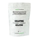 Poudre de Gélatine 1 kg Texturestar