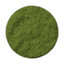 Poudre de Menthe Lyophilisée 60 g Fresh-As