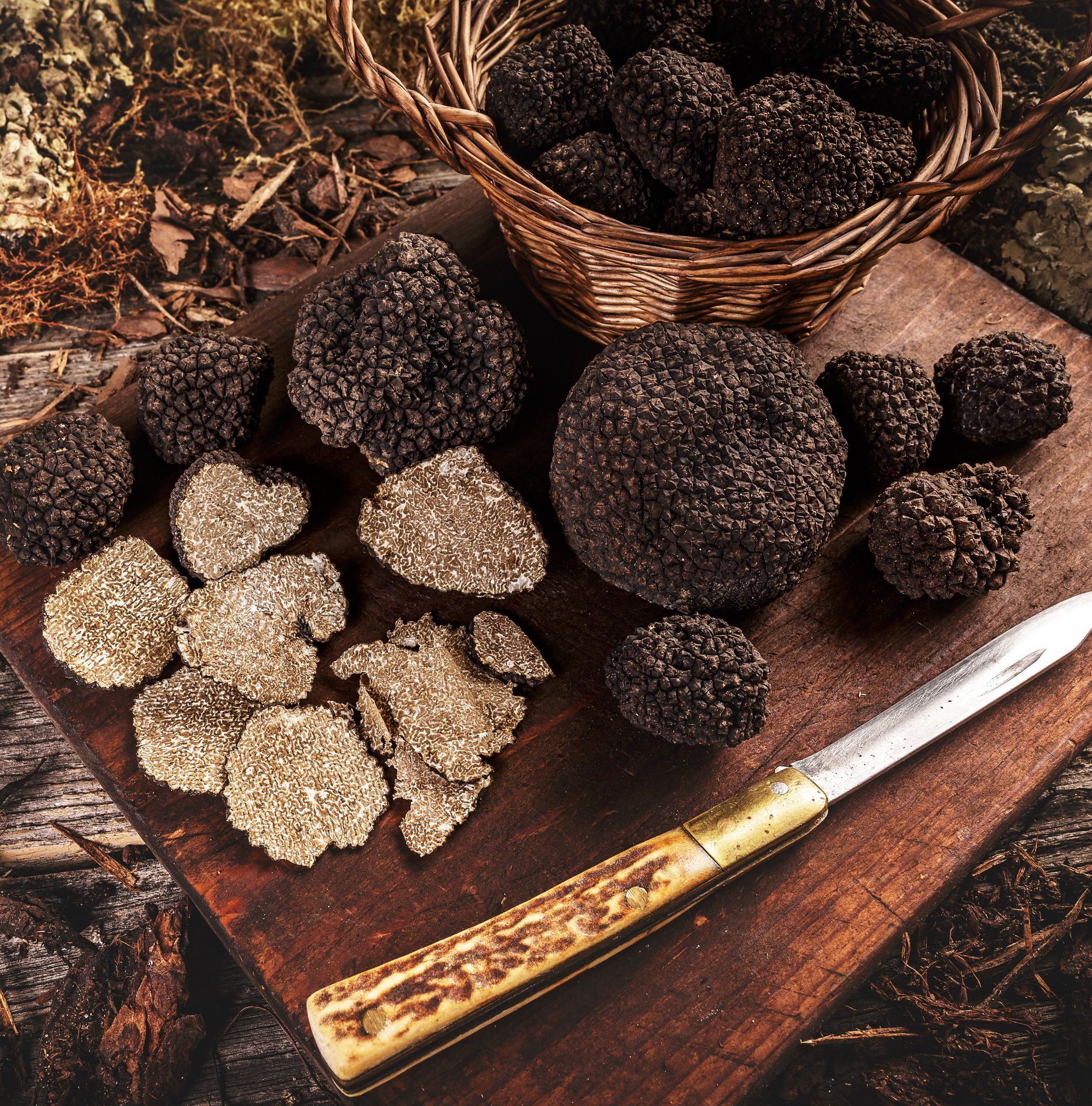 Category image: Truffles, Mushrooms & Meats