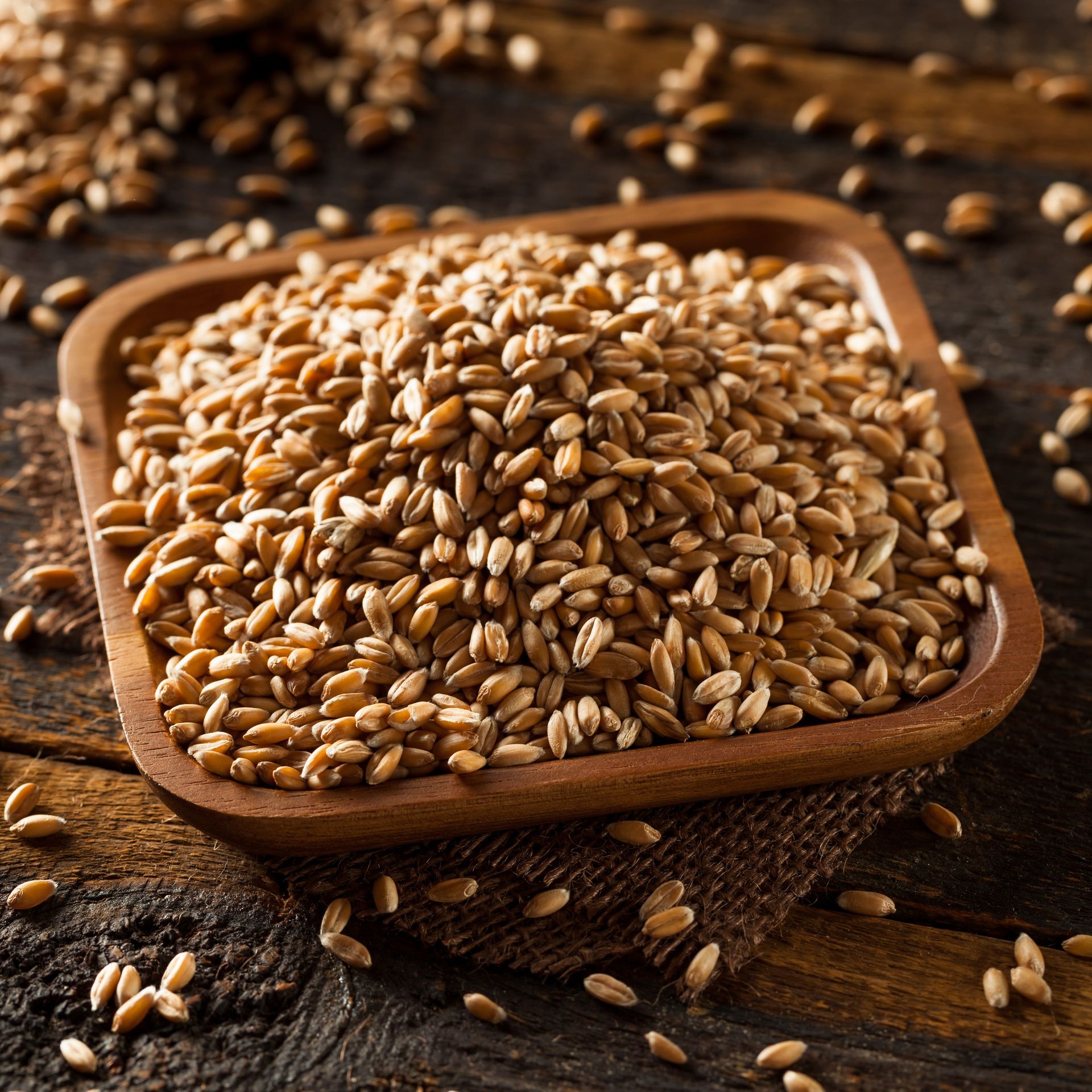 Category image: Whole Grains