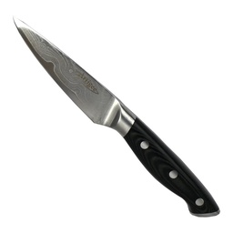 [ARTG-4010] Paring Knife VG10 4" 1 pc Artigee