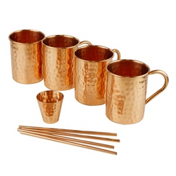 [ARTG-5006] Moscow Mule Mug Set with Utensils 4pc Artigee