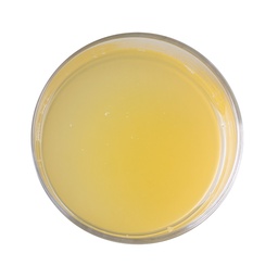 [152354] Vegan Egg White Substitute 5.5 L Aquafaba
