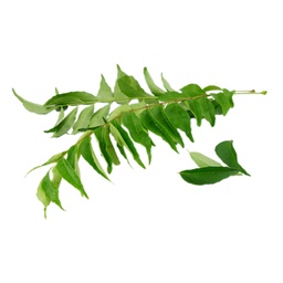 [181831] Curry Leaves 454 g YOSHI