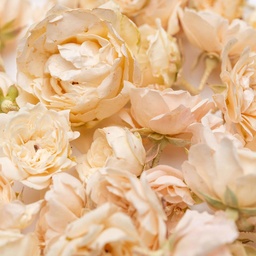 [182262] White Mini Rose Edible Flowers 5 g Lioflor